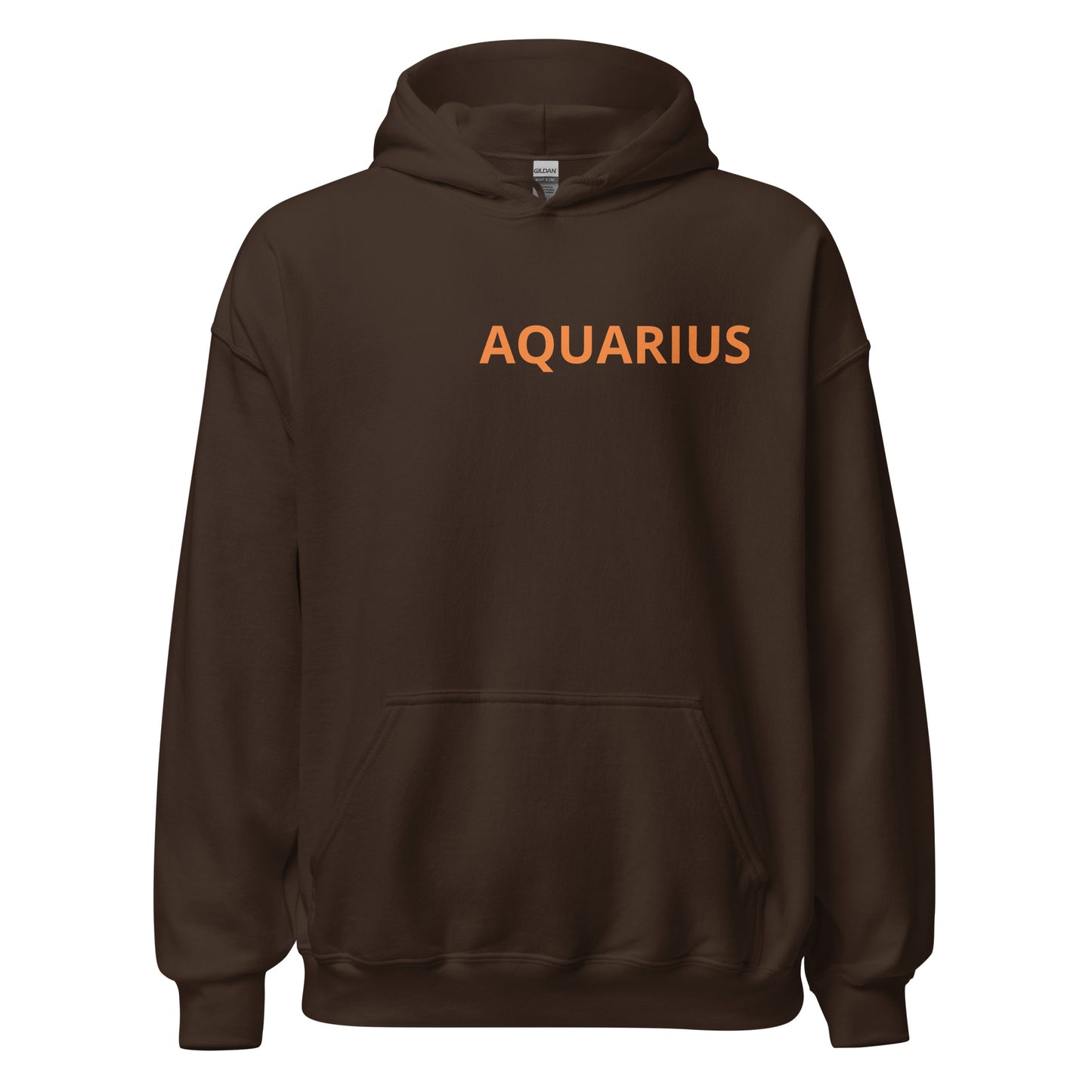 Orange on Gray Aquarius Hoodie - Loose Fit