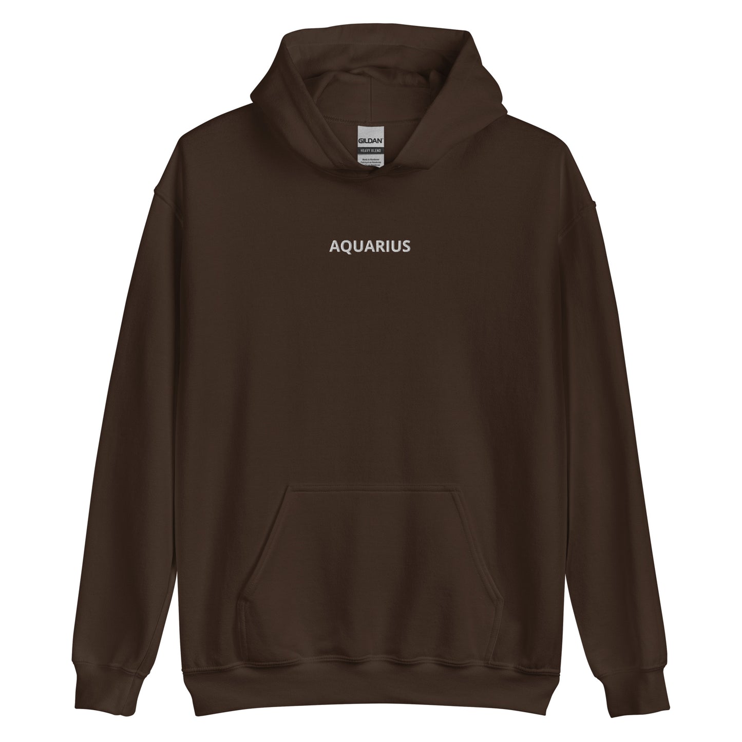 Aquarius Embroidered Hoodie - Loose Fit