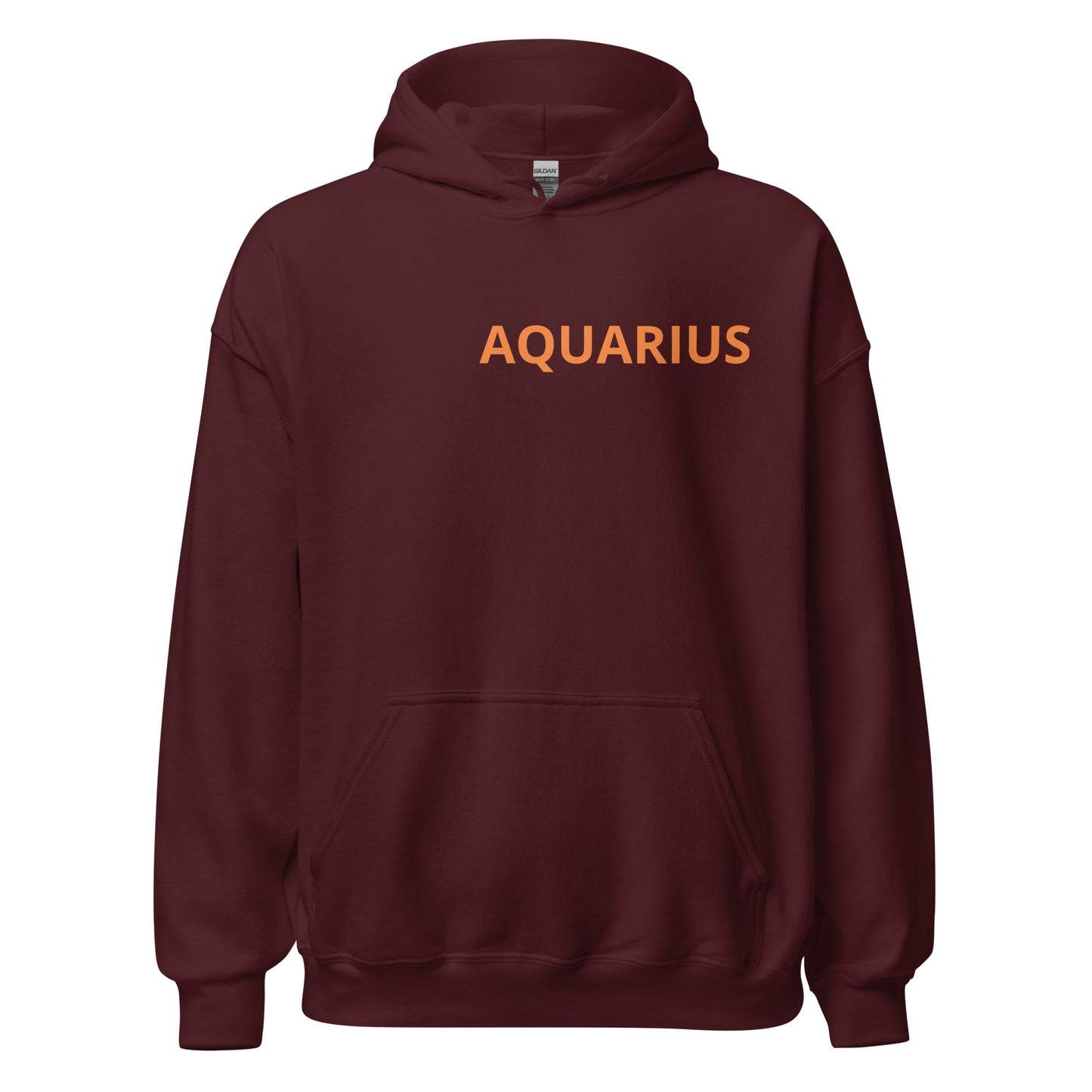 Orange on Gray Aquarius Hoodie - Loose Fit