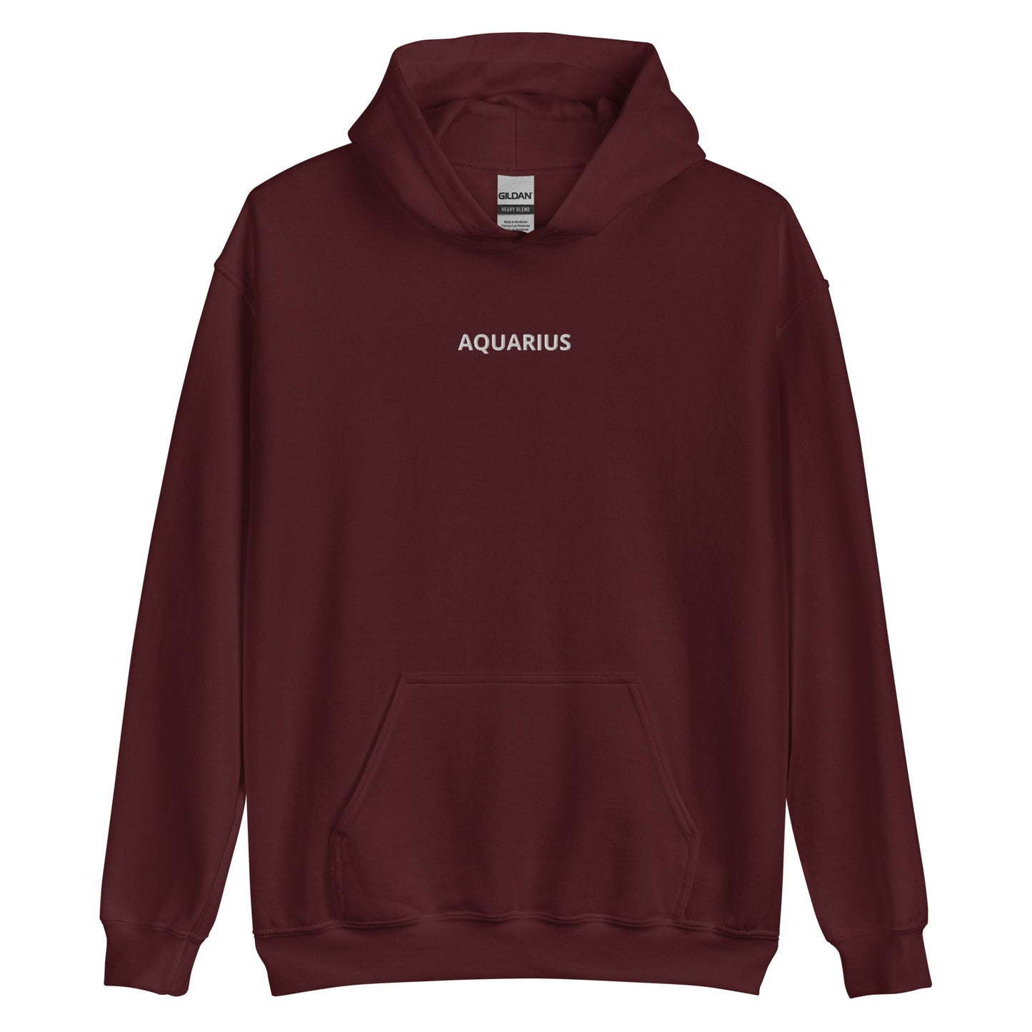 Aquarius Embroidered Hoodie - Loose Fit