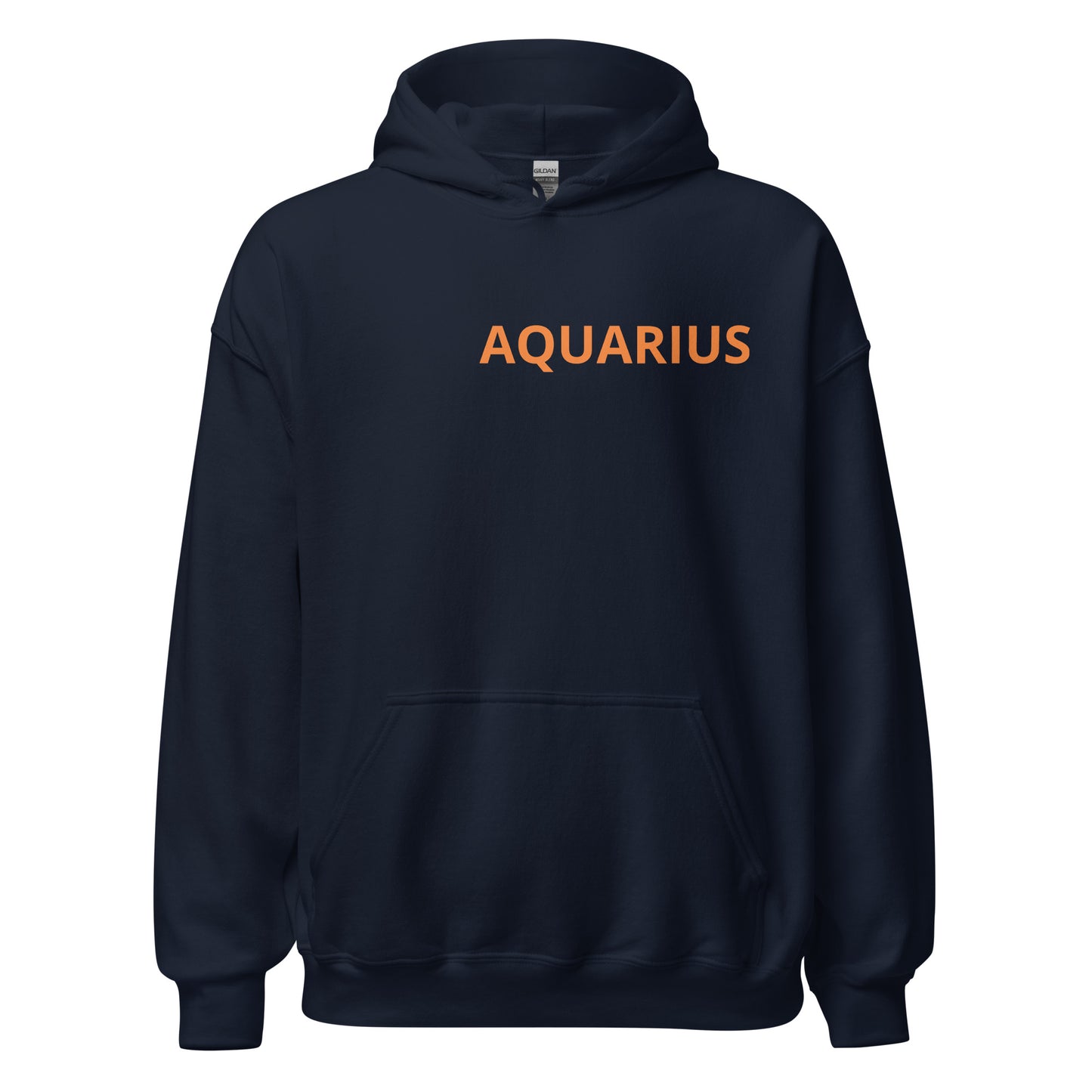 Orange on Gray Aquarius Hoodie - Loose Fit
