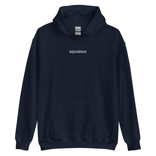 Aquarius Embroidered Hoodie