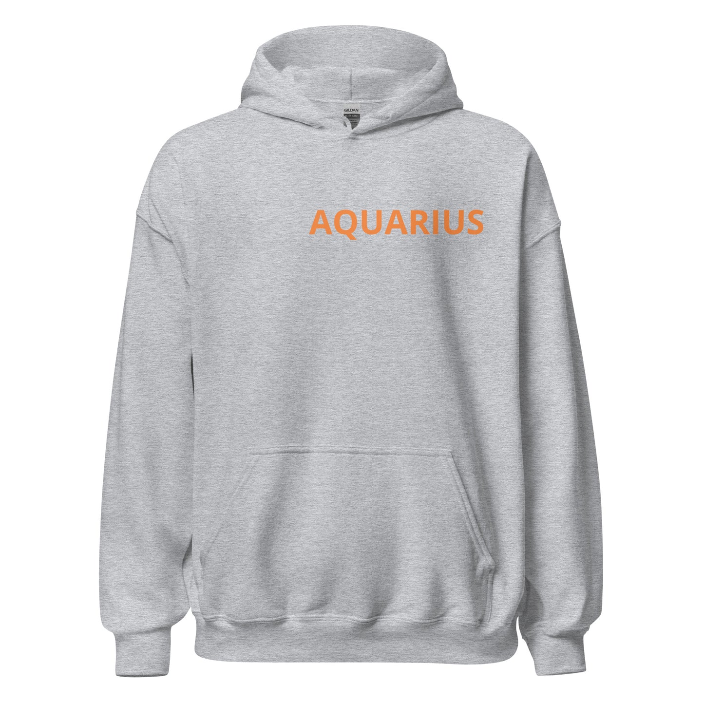 Orange on Gray Aquarius Hoodie - Loose Fit